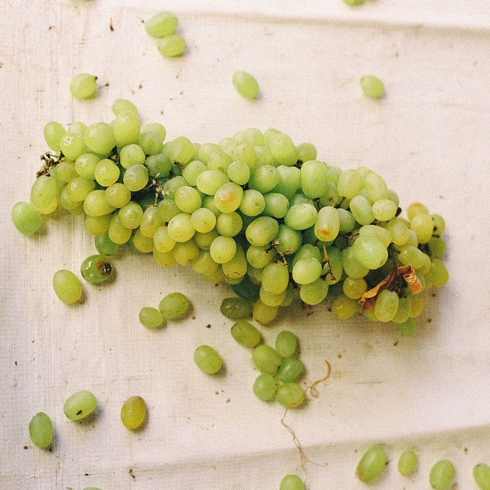 A bunch of green grapes spilling loose across a linen cloth