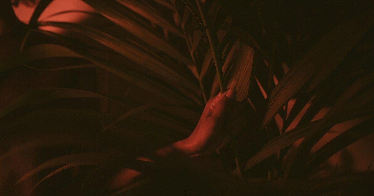 turmeric or dried plant, botanical material, warm glow
