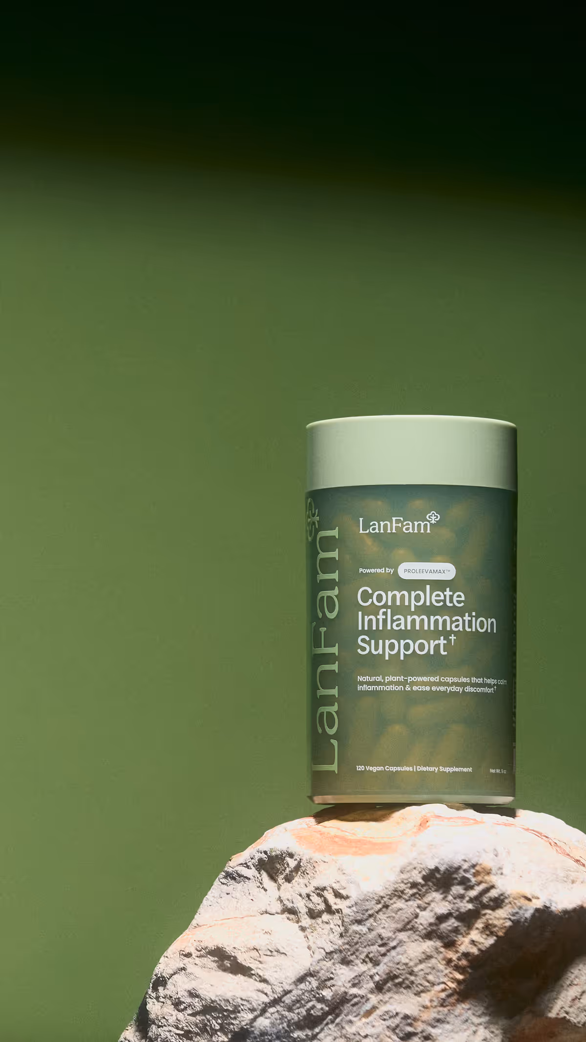 LanFam Bottle On Stone Prop Green Gradient