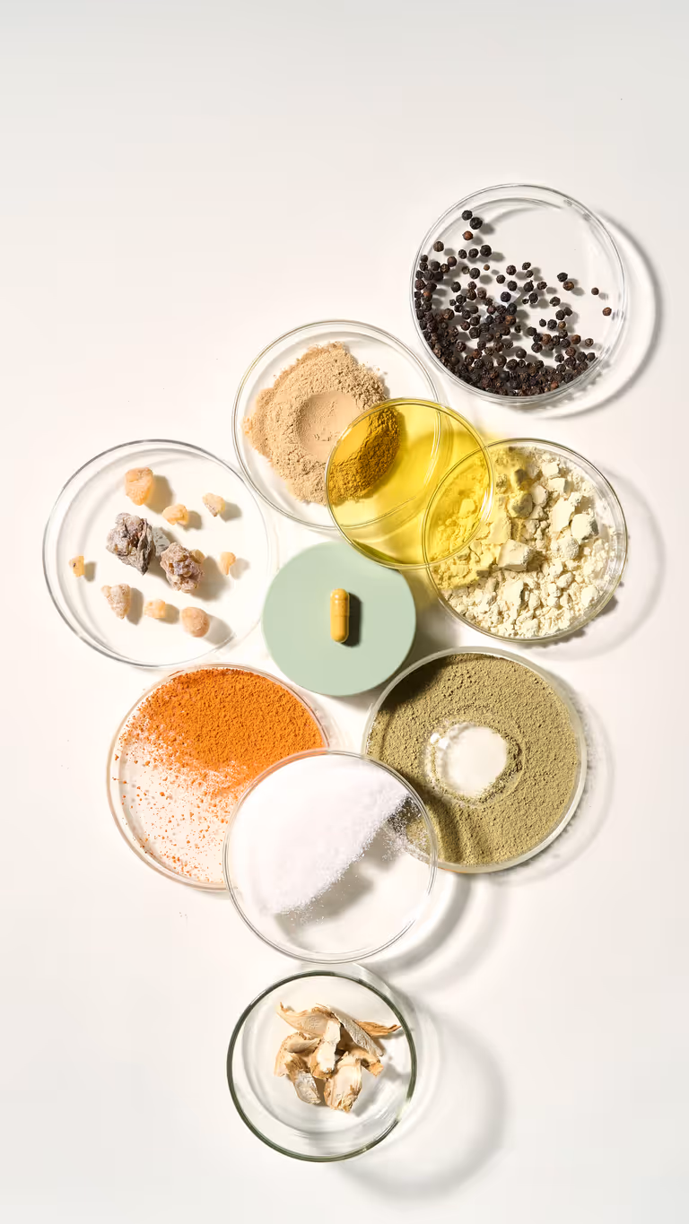 Raw ProleevaMax ingredients in petri dishes arranged around a single capsule