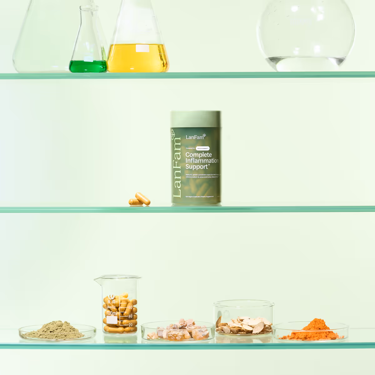 ProleevaMax Bottle Lab Flasks Array