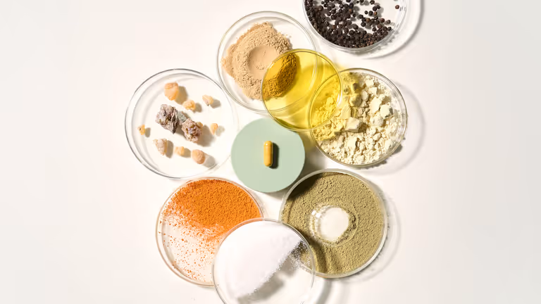 ProleevaMax Ingredients Overhead Layout