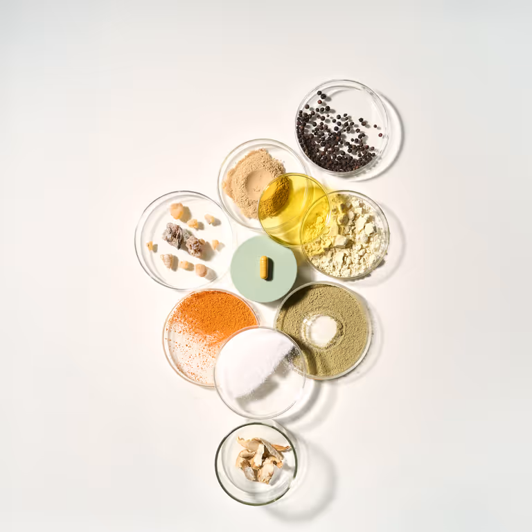 ProleevaMax Ingredients Scattered Flat Lay